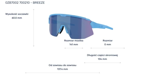 Okulary Bliz  Breeze  - Matte Blue /  Blue
